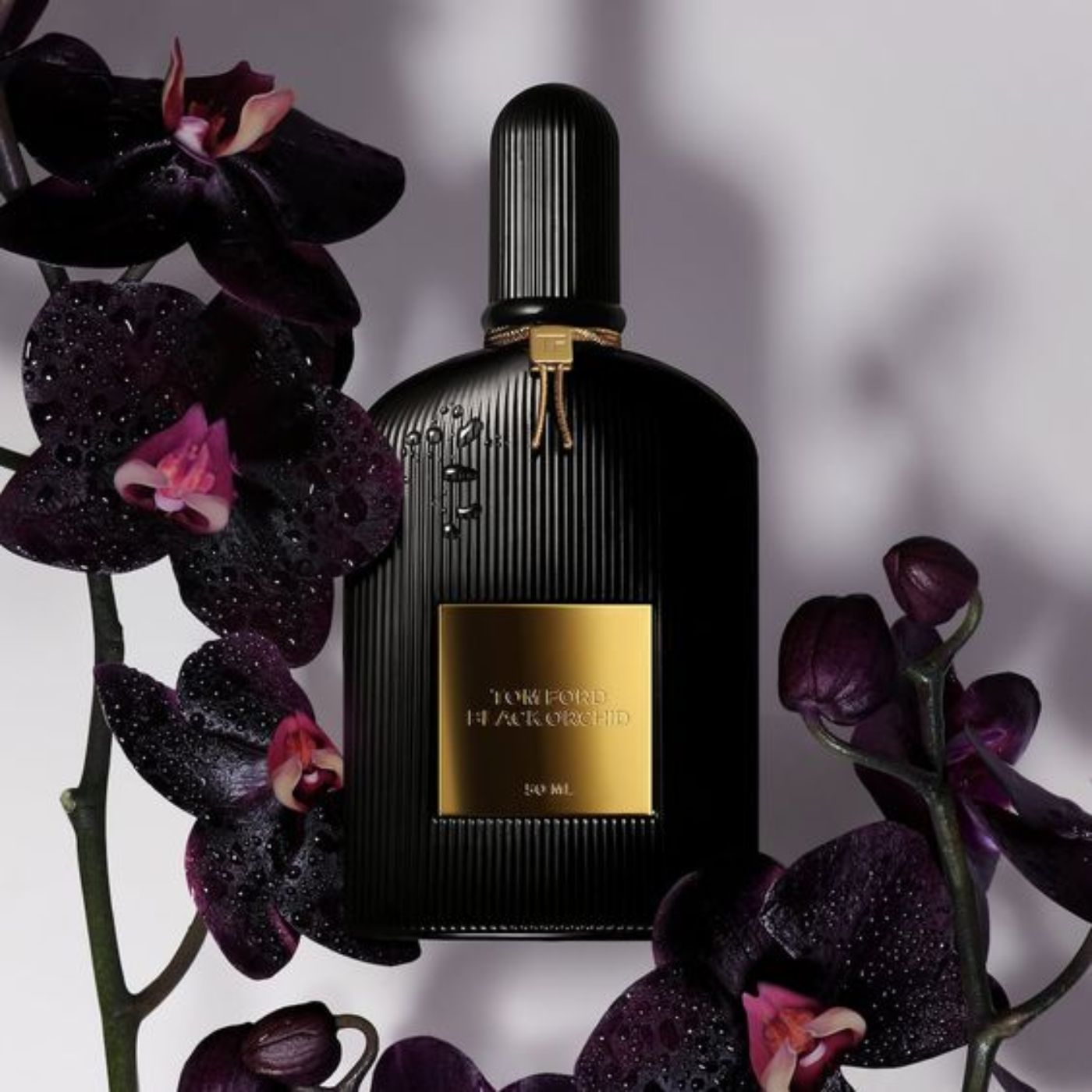 Nước hoa Tom Ford Black Orchid