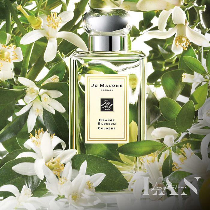 Nước hoa Jo Malone Orange Blossom unisex