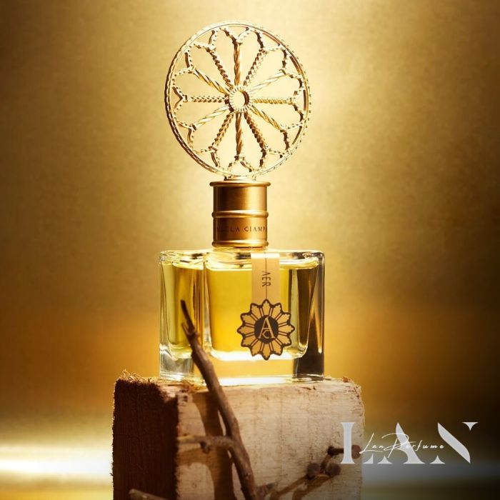 Điểm thu hút của perfume Angela Ciampagna là gì?