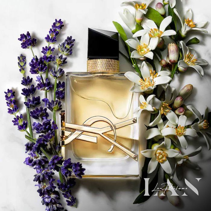 Các tầng hương chính của YSL Libre EDP perfume