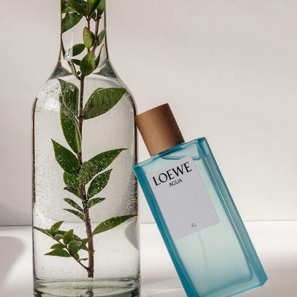 Mùi hương phương đông thanh lịch của Loewe Agua Él
