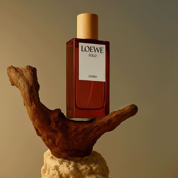 Giới thiệu về nước hoa Loewe Solo Cedro EDT