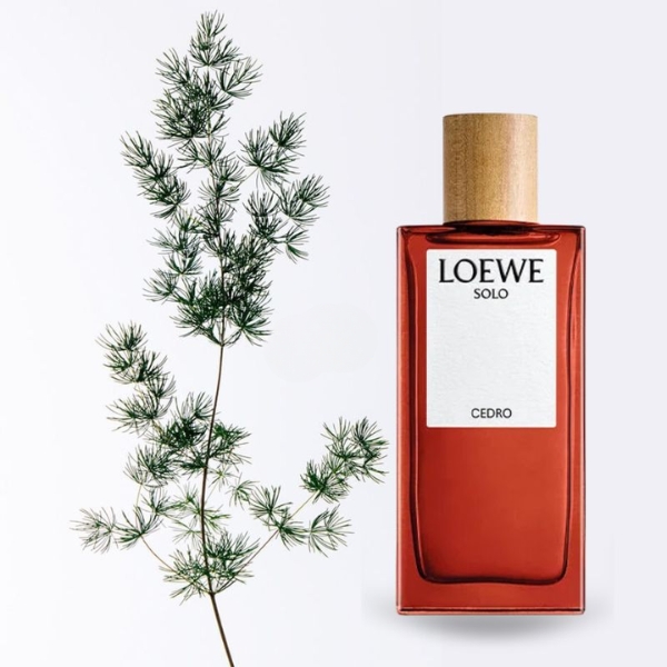Mùi hương của perfume Loewe Solo Cedro