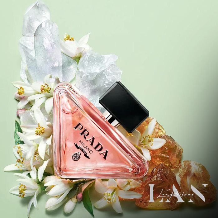 các tầng hương chính của Prada Paradoxe EDP