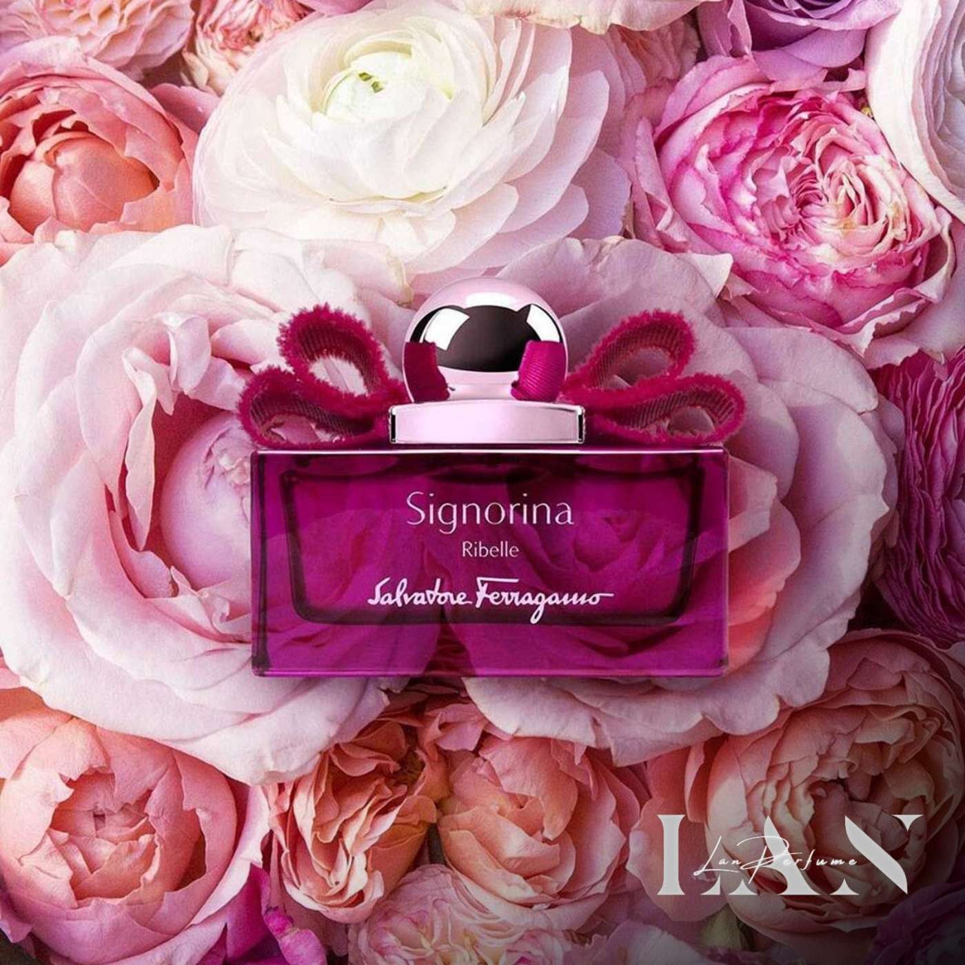 Perfume Salvatore Ferragamo Signorina Ribelle