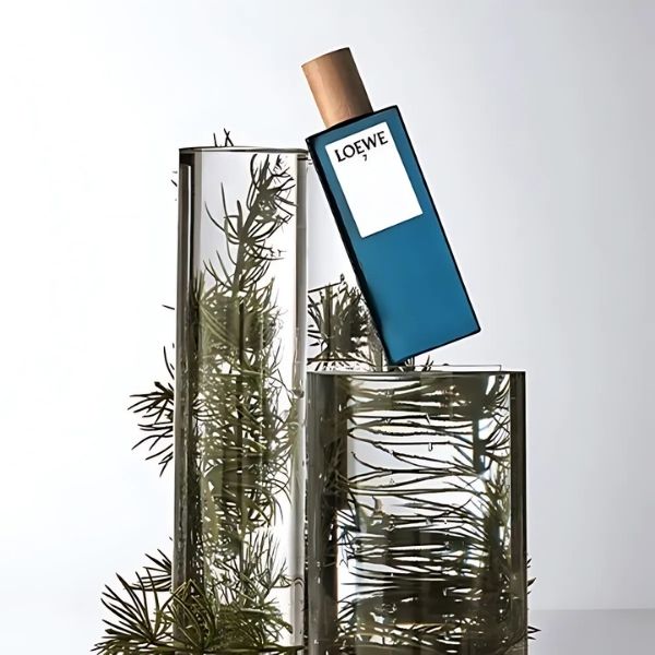 Loewe 7 EDT Pour Homme mang một một mùi hương quyến rũ với các nốt hoa và xạ hương Mùi hương quyến rũ của Loewe 7 EDT Pour Homme