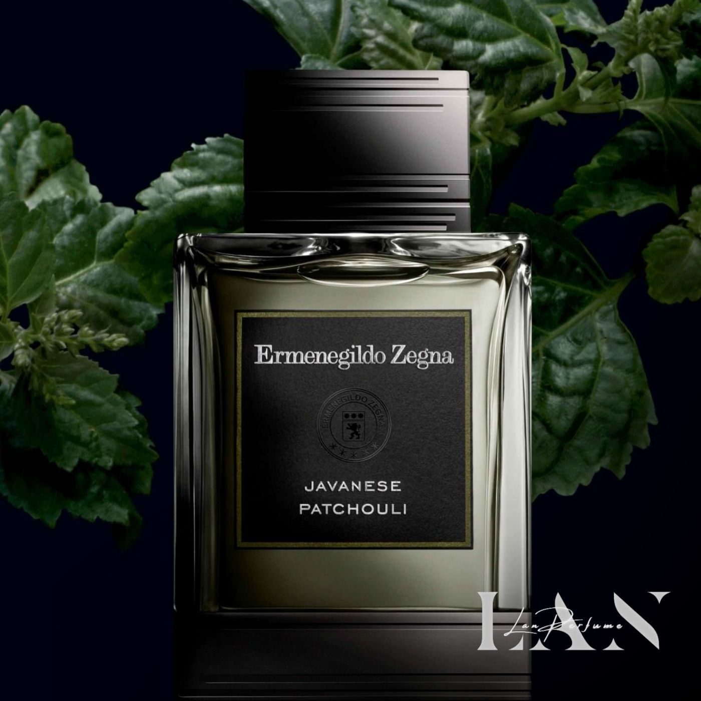 Ermenegildo Zegna Javanese Patchouli là lựa chọn hoàn hảo cho những buổi hẹn hò, cà phê cuối tuần.