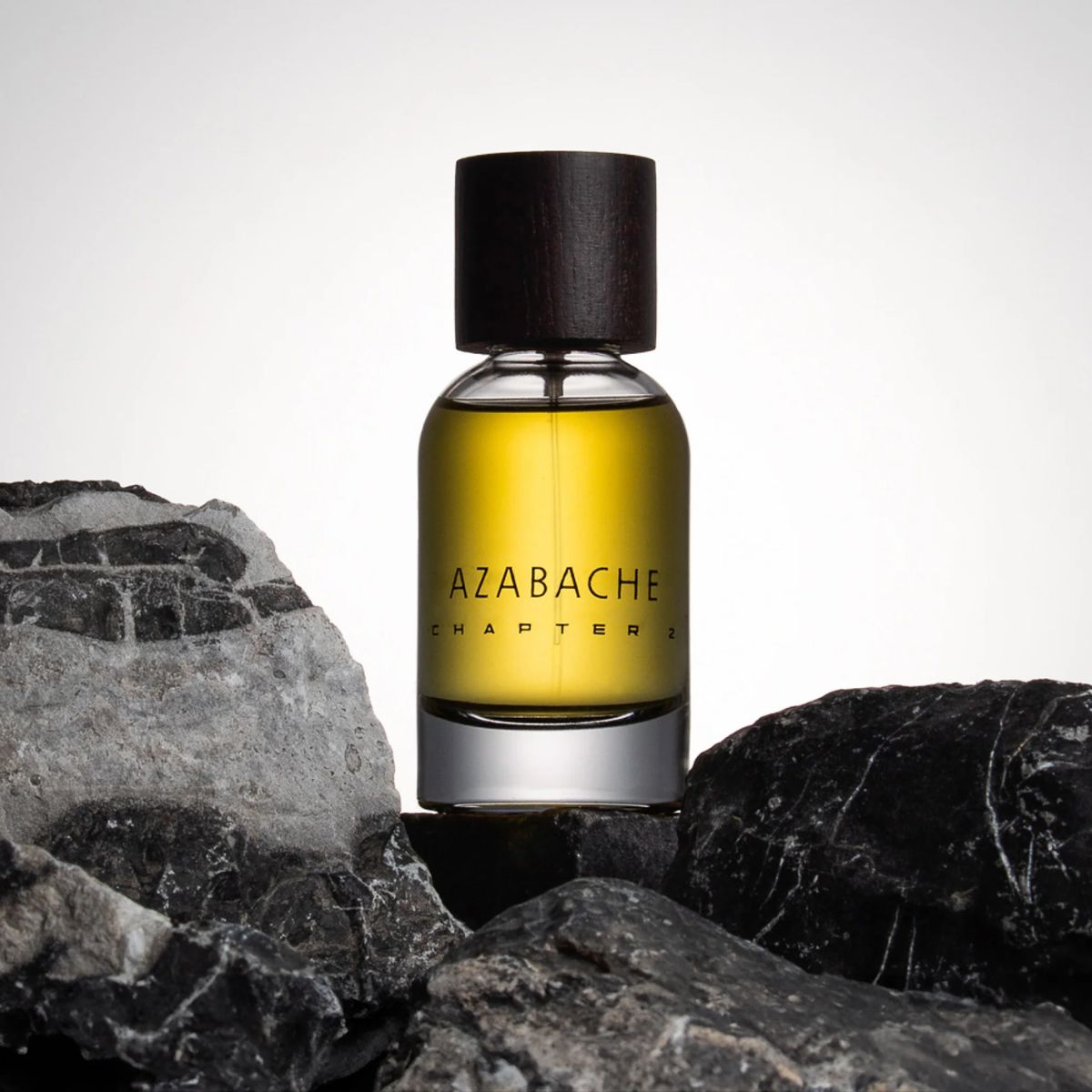 Giới thiệu PIGMENTARIUM Azabache Chapter 2